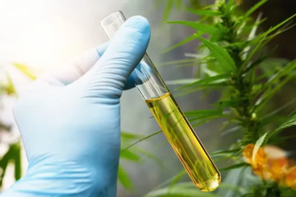 best CBD products