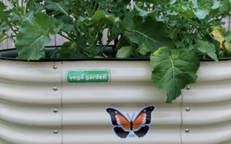 raised garden beds for sale