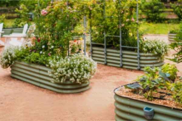 raised garden beds for sale