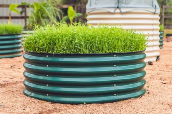 raised garden bed kit
