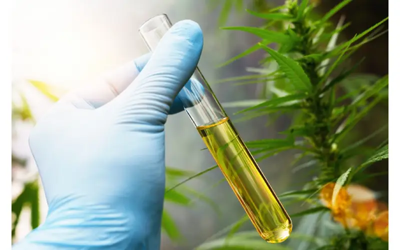 best CBD products