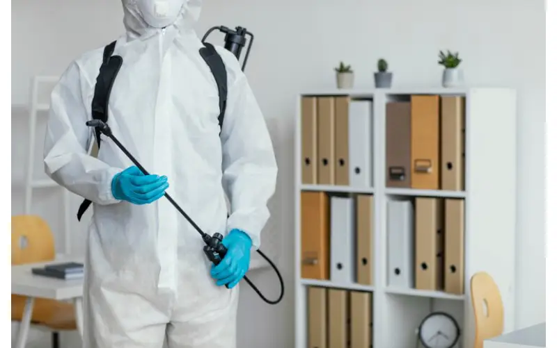 cockroach exterminator in Vaughan